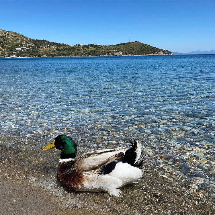 Bizim Ev Datça Kargı Sahil